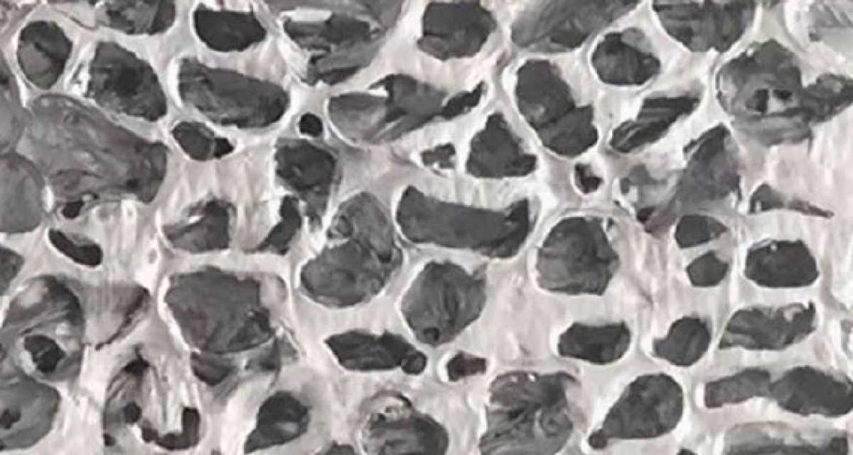 Alusion große Zellgröße